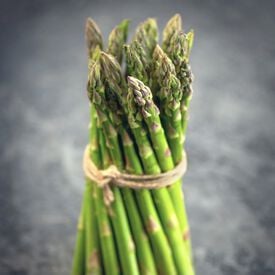 Apollo, (F1) Asparagus Seeds